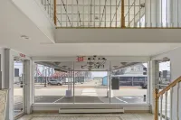 Mt Royal Motel - 駐車場