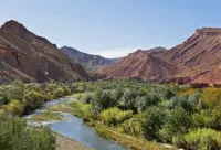 Green Valley Lodge - Atlas Mountains Nature