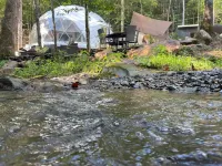 Moonshine Hollow Dome by Rafting - 4-stjärniga