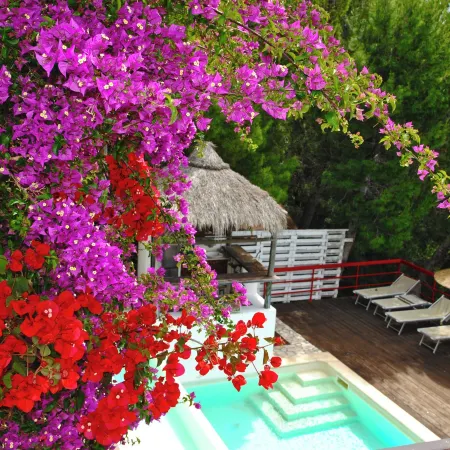 Villa Giulia Resort with Private Pool and Stunning Sea Views