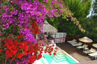 Villa Giulia Resort with Private Pool and Stunning Sea Views - Villas