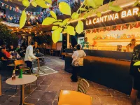 Viajero Cdmx Centro Hostel - Pet friendly