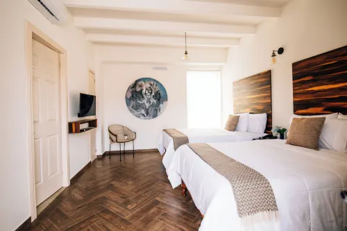 Hotel Tabáa Oaxaca - Pet friendly
