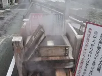 杖立温泉  日田屋旅館 - 溫泉