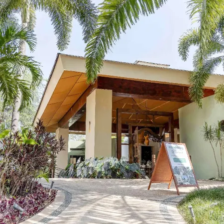 Soul Spring Sanctuary Cuernavaca