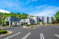 Spark by Hilton Staunton - Pet friendly