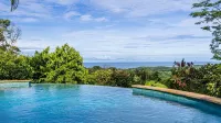 Newly Listed Marvelous Jungle Oasis with Ocean Views - Pool