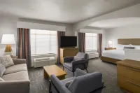 Best Western Premier Houston Downtown/Convention Center Hotel - Fitnessstudio