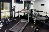 City Express by Marriott Zacatecas - salle de sport