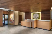 Fairfield Inn & Suites Cornelia - Wifi