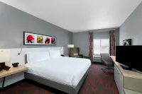 Hilton Garden Inn Louisville East - bar