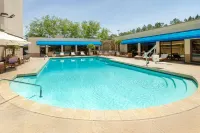 Hilton Jackson - Pools