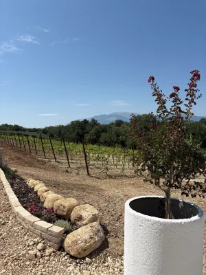 Tenuta Ferrante Relais - Wifi