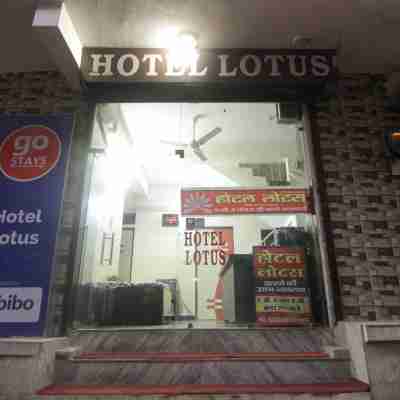 Hotel Lotus Others
