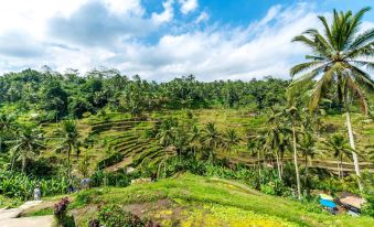 Capella Ubud, Bali