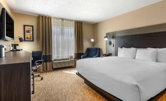 Comfort Inn & Suites North Dallas-Addison