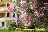 B&B Il Cavaliere Tropea Hotels in Santa Domenica
