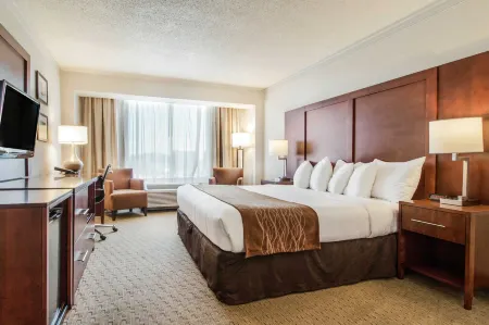 Comfort Inn by the Bay