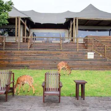 Ndhula Luxury Tented Lodge