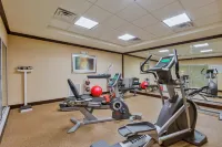 Holiday Inn Express & Suites ALPINE SOUTHEAST by IHG - Gym