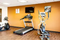 Comfort Inn & Suites Niagara Falls Blvd USA - Gym