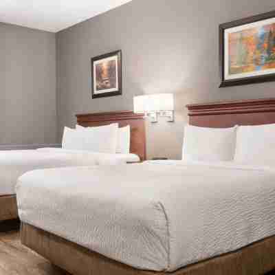 Days Inn by Wyndham Hamilton - Downtown Rooms