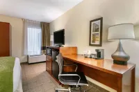 Comfort Inn Downtown Hotels in Rossville