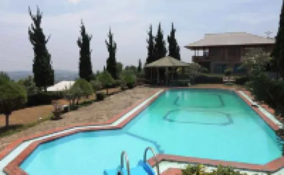 The Anty Resort