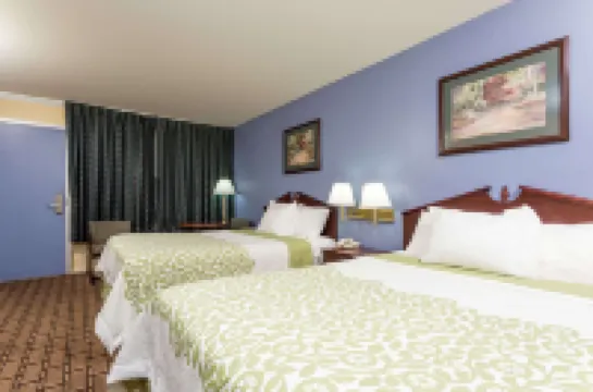 デイズ イン バイ ウィンダム ディクソン