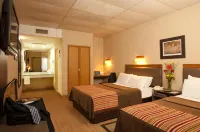 Land Express Neuquén Hotels in Neuquén