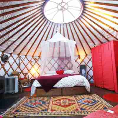 Ecolodges en Provence : Hébergements insolites Var en Provence (Yourte, Cabane, maison troglodyte) Rooms