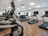 Holiday Inn Express & Suites Ruskin - Sun City by IHG - Gym