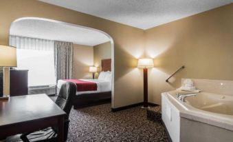 Clarion Inn & Suites - University Area