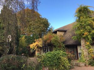 Sandford Meadow Guest House