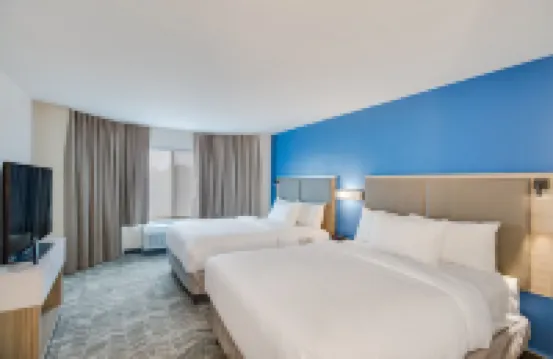 達拉斯西北高速公路斯蒂蒙斯／i-35 萬豪SpringHill酒店