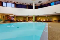 Hilton Albany - Pools