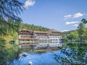 Hotel Langenwaldsee