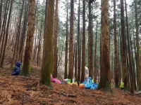 Jangseong Cypress Forest Pension