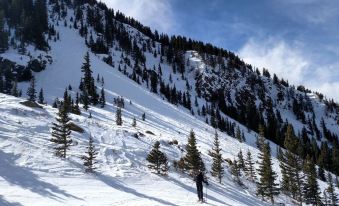 Powderhorn Vacation Rentals