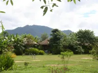 Good Morning Pai