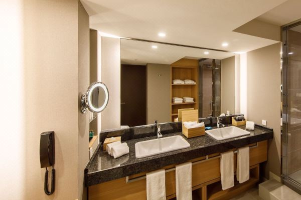 호텔 닛코 오사카(Hotel Nikko Osaka)_4