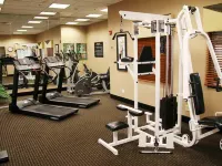 Hampton Inn & Suites Indianapolis-Fishers - Gym