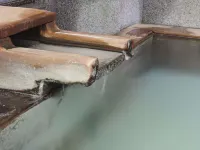 Hotel Alpen Burg Hotels in der Nähe von 志賀高原 中央エリア