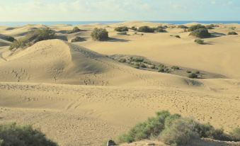 Sun Club Playa del Inglés Bungalows