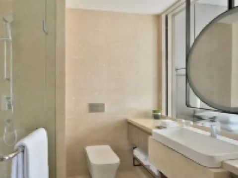 ル メリディアン ナビ ムンバイ テインのホテル