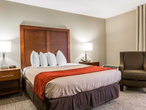 Comfort Inn Sandy Springs – Perimeter