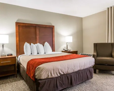 Comfort Inn Sandy Springs - Perimeter Отели рядом с достопримечательностью «Azalea Park Boardwalk, Roswell»