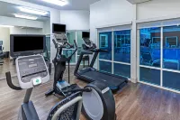 Holiday Inn Express & Suites HOUSTON SPACE CTR - CLEAR LAKE by IHG - Gym