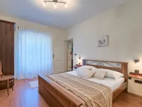 SaNi