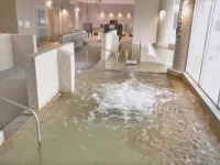 Laspa Takazaki Hotel a Miyakonojō